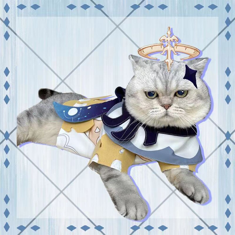   ̸ Ϳ ֿ  ڽ ǻ, ҷ ũ īϹ Ƽ 巹  ǰ ֿ  ڽ  Ʈ